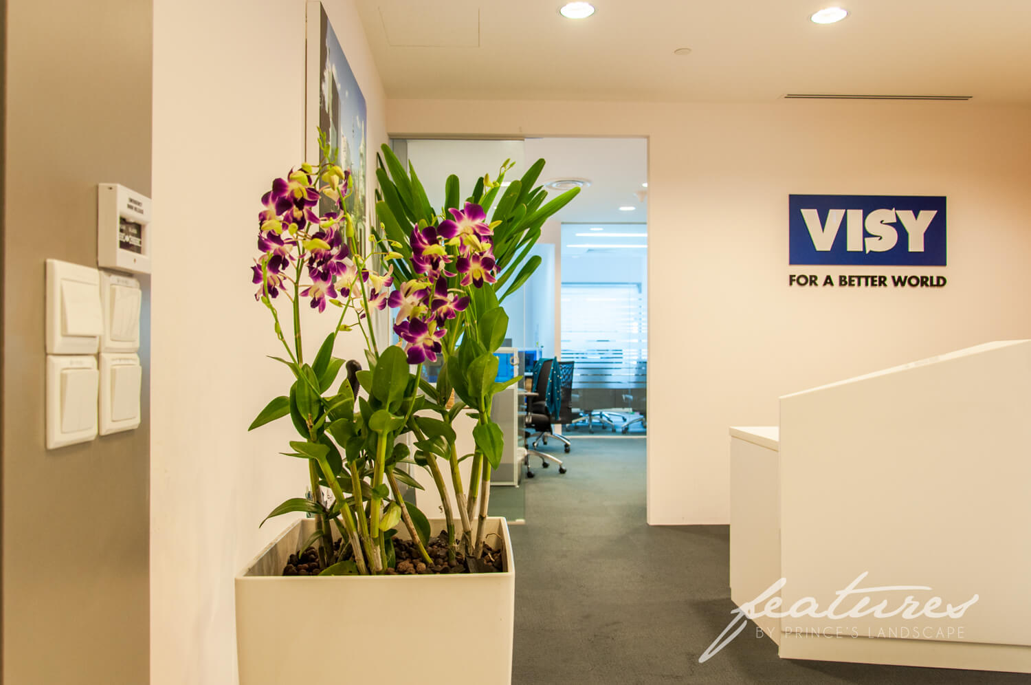 Corporate Plant Rental 25 Prince's Landscape & Construction