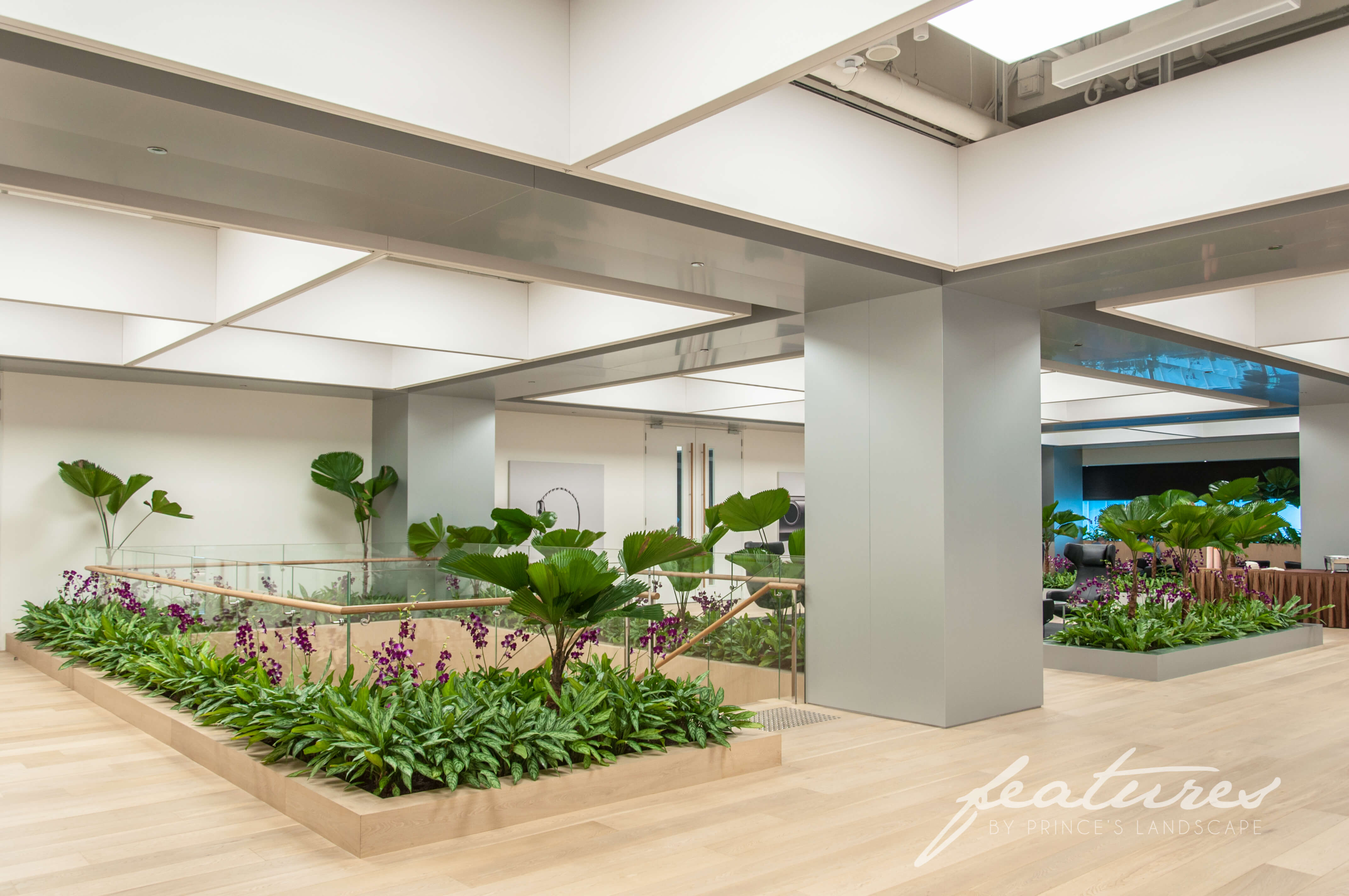 Corporate Plant Rental 37 Prince's Landscape & Construction