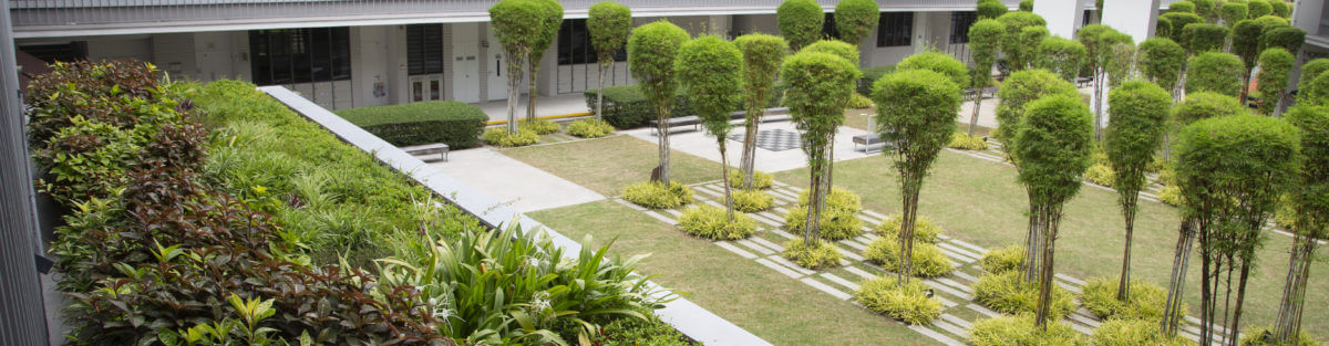 Small Green Roof Installation at PathLight School