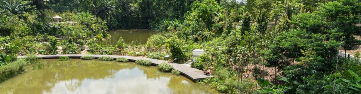 The Learning Forest 3 | Landscape Maintenance