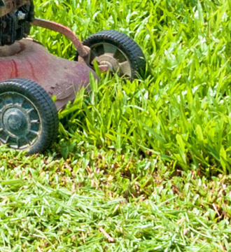 Turfing