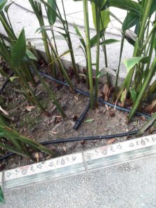 Drip Irrigation System with Quick Coupling