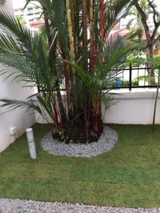 grass turfing solutions in Singapore