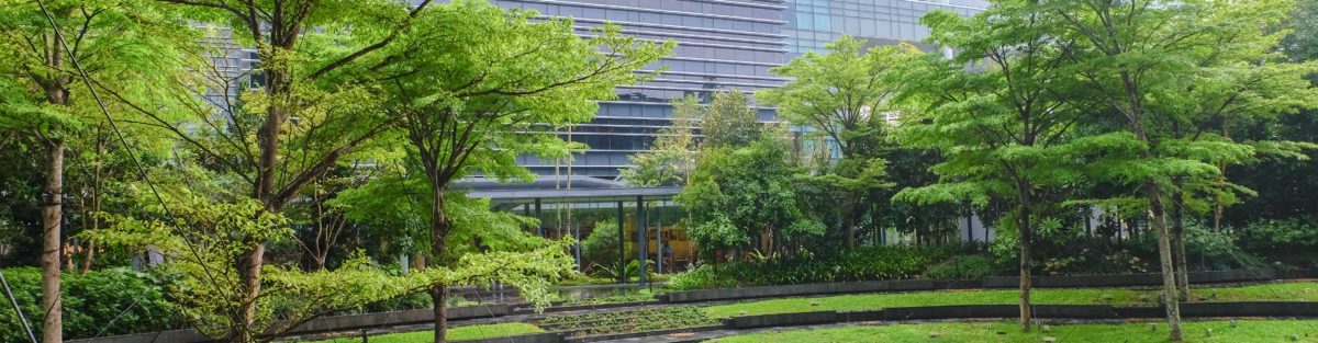 Mapletree Business City 2 Landscape Maintenance Courtyard