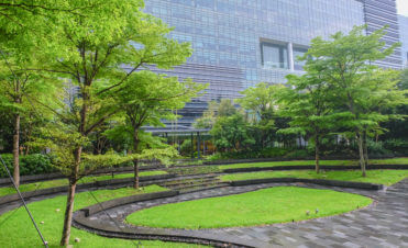 Mapletree Business City 2 Landscape Maintenance Courtyard