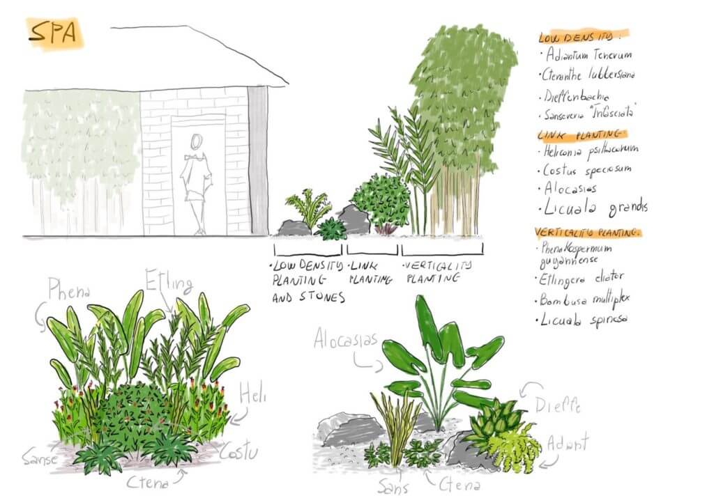 Tropical layout Design Process