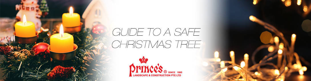 Guide to a Safe Christmas Tree Banner