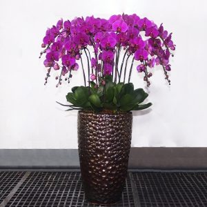 15-in-1-Tall-Pot