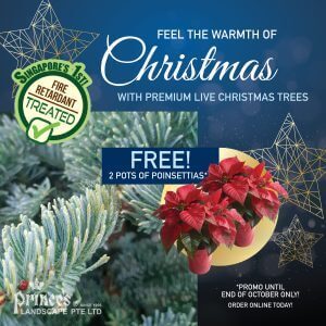 Christmas Promo - 1200x1200-01