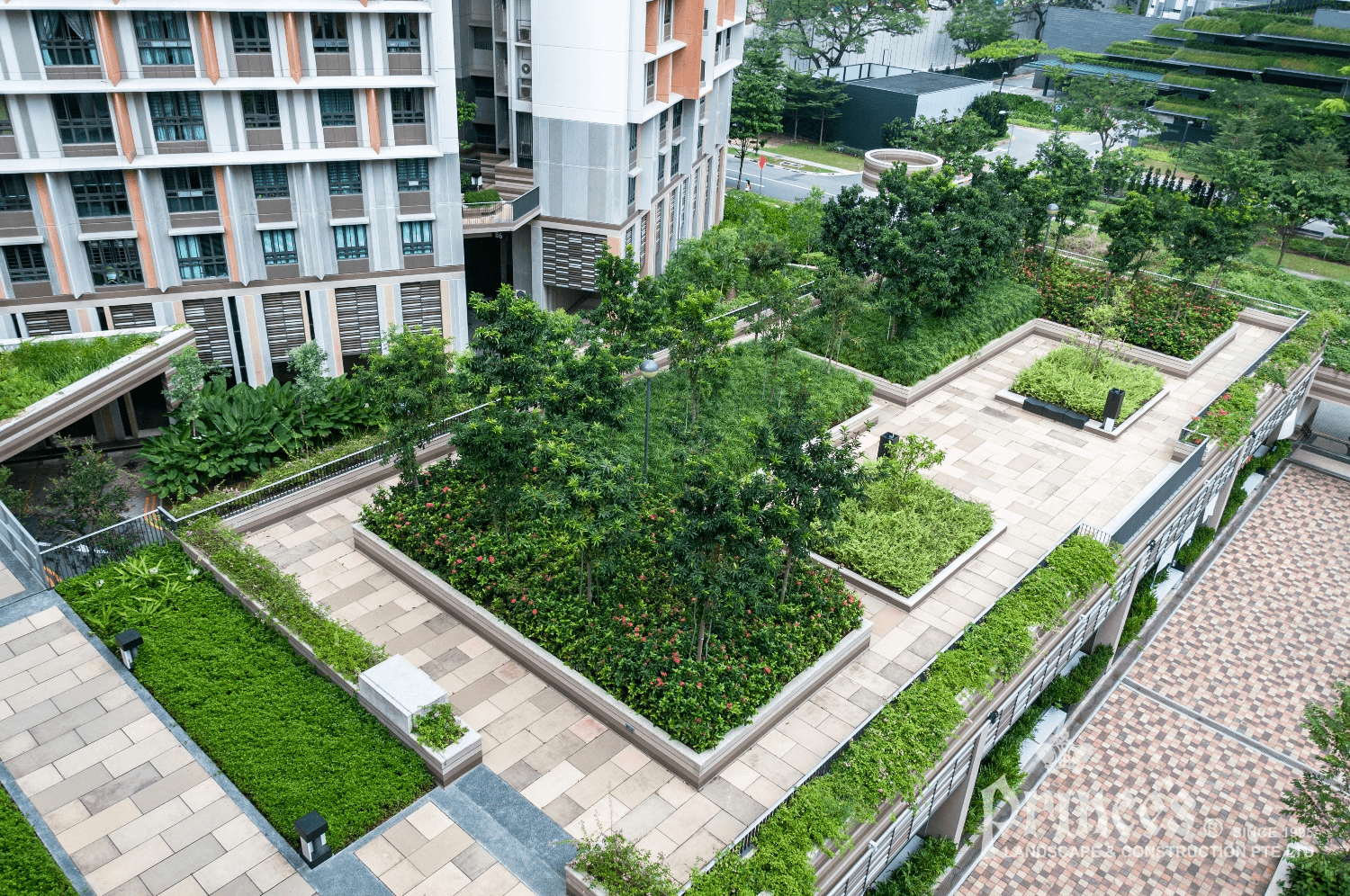 Ultra-low Maintenance Roof Garden