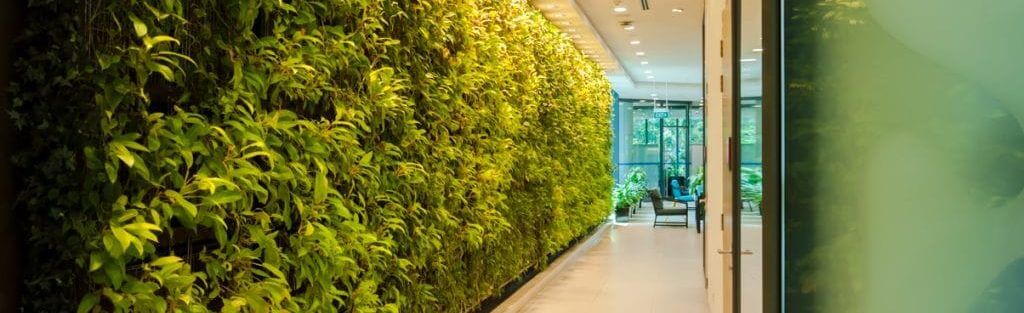 green wall singapore