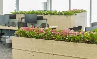 Corporate Plant Rental | Chubb - 2
