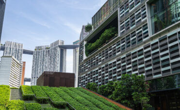 Modern Singapore business exterior with professionally maintained greenery and vibrant landscape creating an inviting, premium brand impression