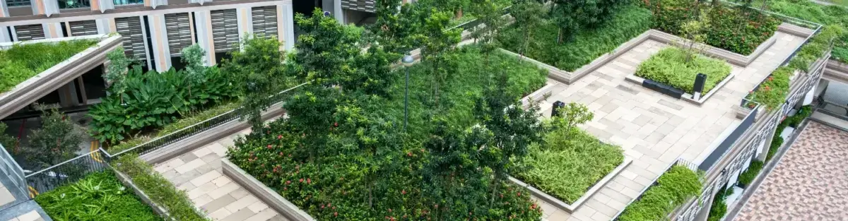 Climate-resilient roof garden in Singapore