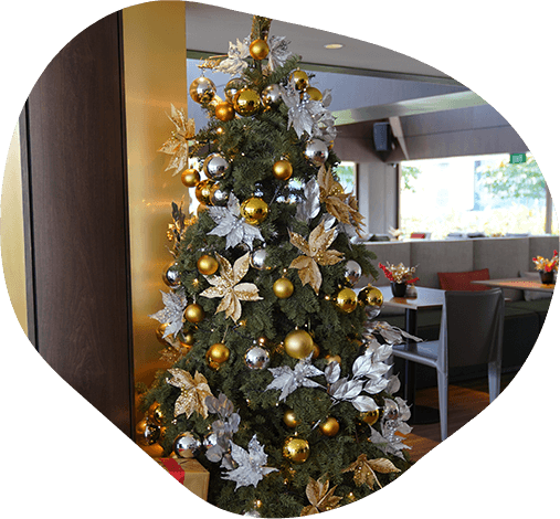 Leading Christmas Decoration Service Singapore - Personal Homes Decoration - Prince's Landscape Pte Ltd