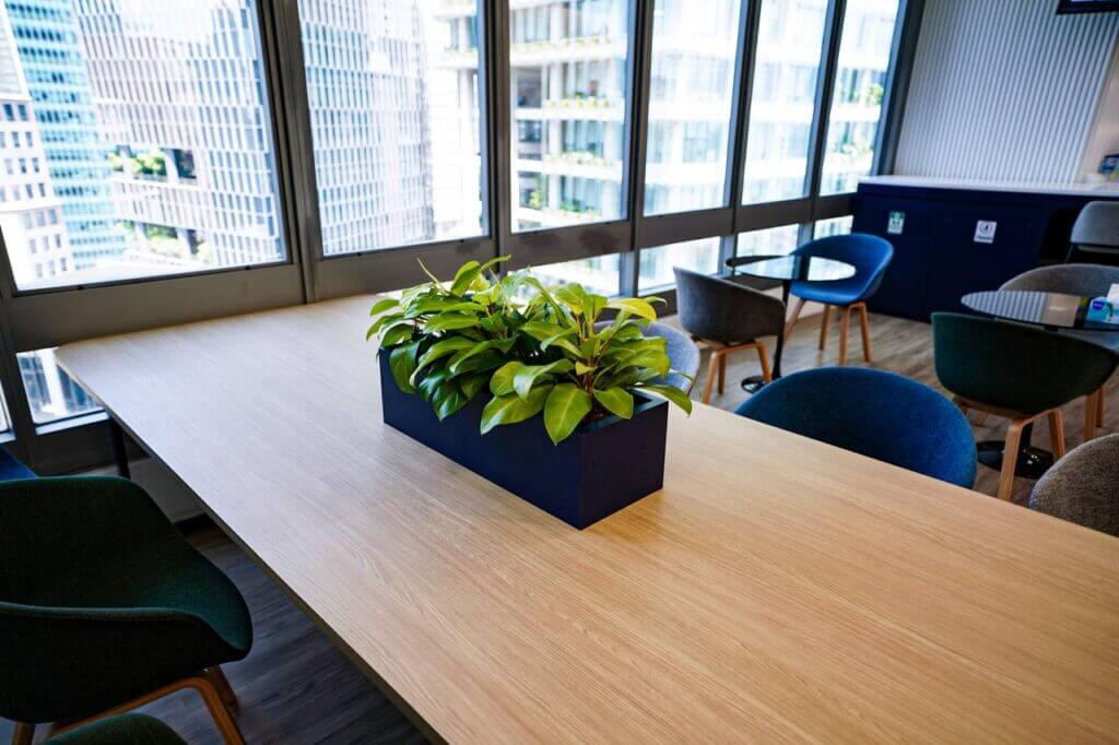 indoor plants for office singapore