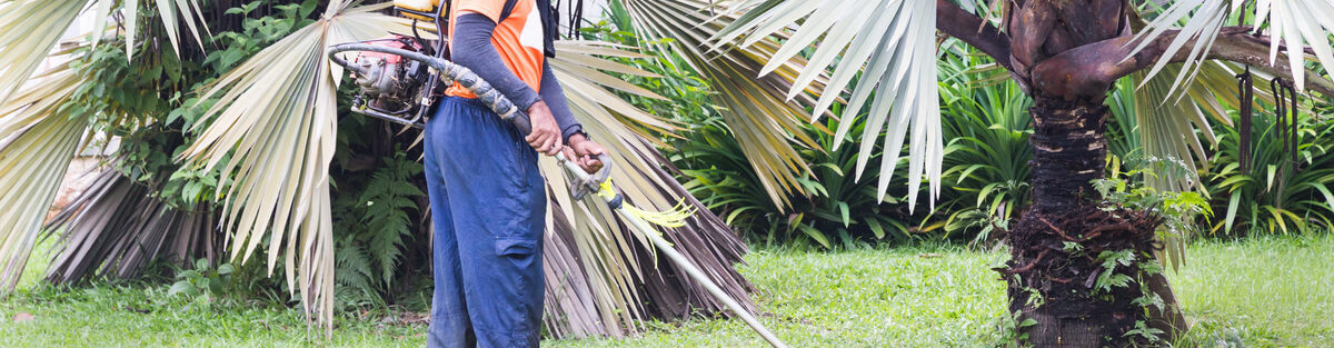 commercial hedge maintenance Singapore, professional hedge trimming landscaping, hedge pruning commercial properties Singapore, expert hedge shaping landscape enhancement