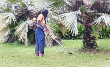 commercial hedge maintenance Singapore, professional hedge trimming landscaping, hedge pruning commercial properties Singapore, expert hedge shaping landscape enhancement