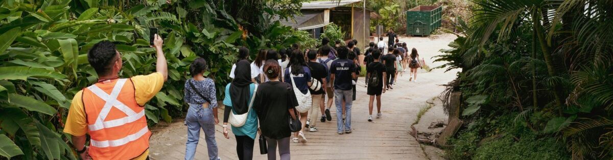 tree experts in Singapore