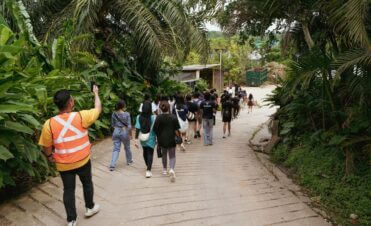 tree experts in Singapore