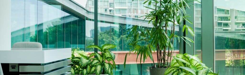 Singapore office plant wall installation 2025, vertical green wall system office Singapore, low maintenance plant wall for workplace, indoor plant wall design inspiration Singapore