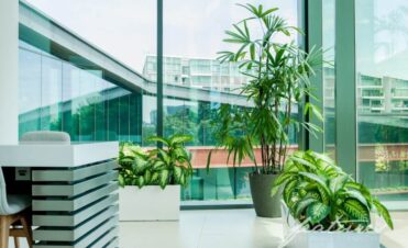 Singapore office plant wall installation 2025, vertical green wall system office Singapore, low maintenance plant wall for workplace, indoor plant wall design inspiration Singapore