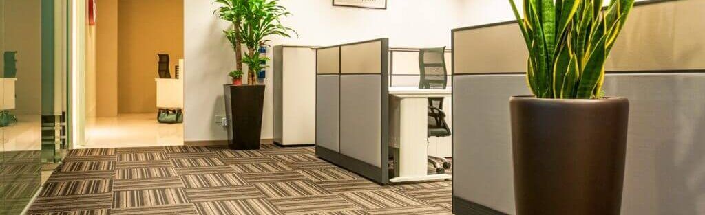 real plant wall vs artificial green panel in Singapore