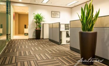 real plant wall vs artificial green panel in Singapore