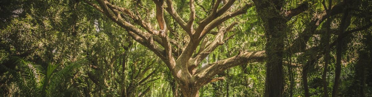 Complete Tree Service