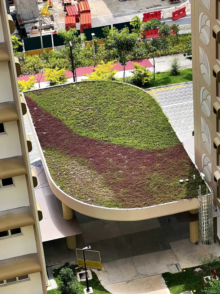 Planted green roof over the drop-off porch at Garden Terrace @ Tengah