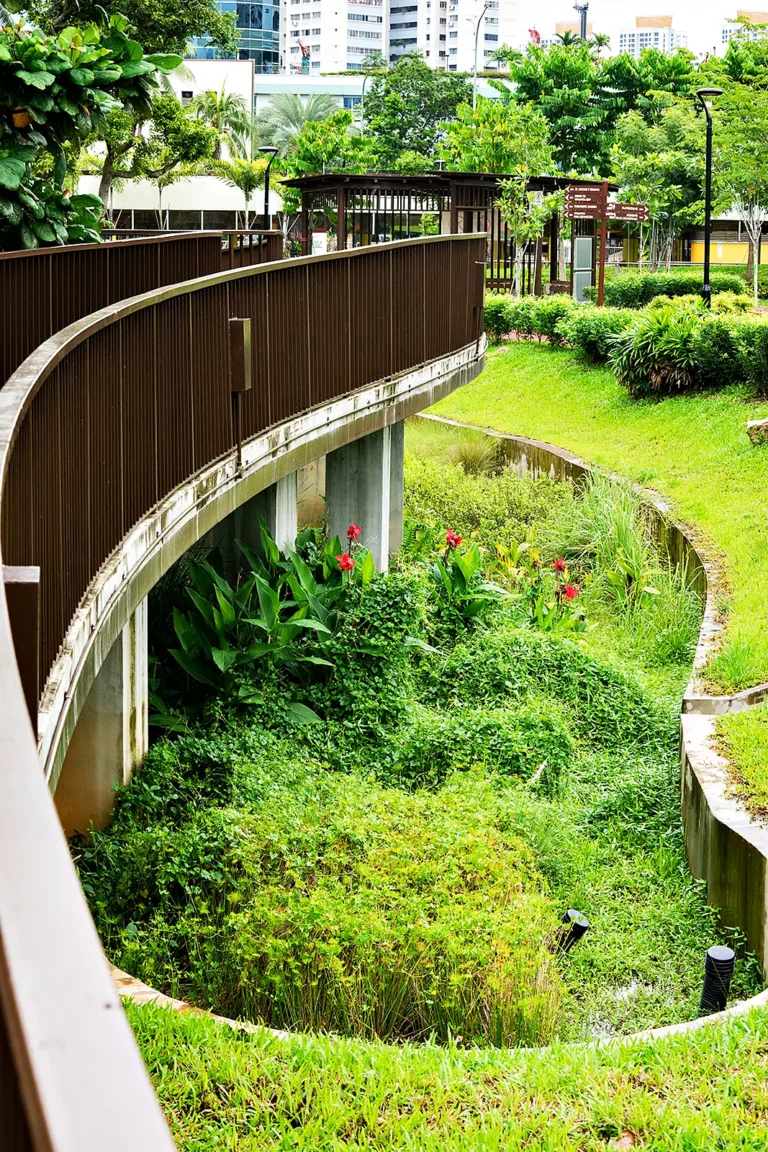 Rain garden channel beneath the boardwalk at Whampoa Park